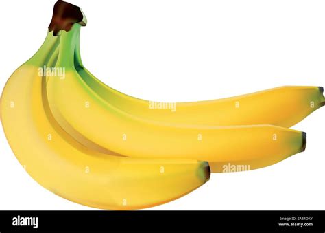 Ripe Bananas On A White Background Vector Illustratioon Stock Vector