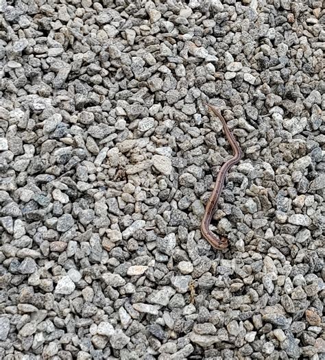 344 Best Kerala India Images On Pholder Interestingasfuck Earth Porn And Whatsthissnake