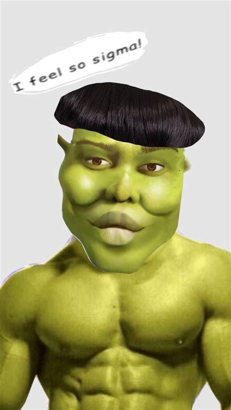 #shrek in 2024 | Shrek funny, Shrek aesthetic cute, Shrek