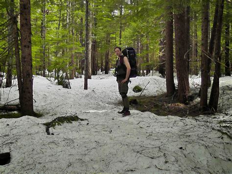 Suiattle River Pacific Crest Trail Pct Section K Stevens Pass East To Rainy Pass