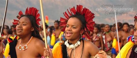 112 best images about Swazi people on Pinterest | Traditional, Africa ...