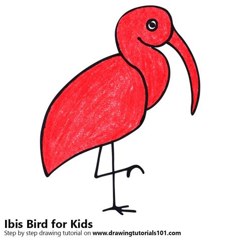 Ibis Drawing at PaintingValley.com | Explore collection of Ibis Drawing