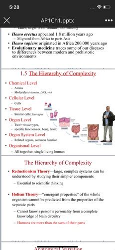 A P Lecture Exam 1 Study Guide Flashcards Quizlet