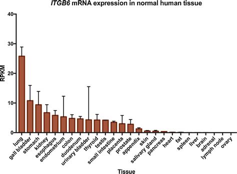 The ITGB6 gene: its role in experimental and clinical biology ...