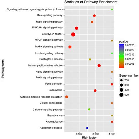 Scatter Plot Of Kegg Enrichment Analysis The Rich Factor Represents