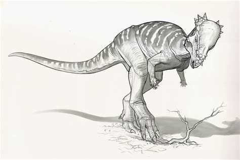 Draw Dinovember Day 25 Pachycephalosaurus, Raul Ramos | Dinosaur pictures, Dinosaur drawing ...