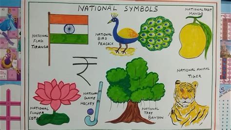 Chart Of National Symbols 