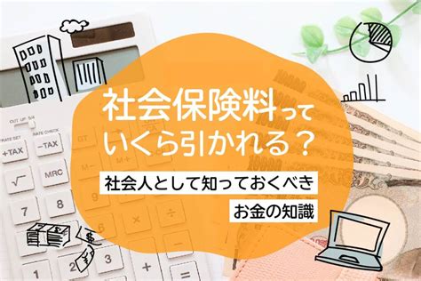 社会保険料いくら引かれる？社会人なら知っておくべきお金の基礎知識 おかねの小槌｜fpが解説する初心者のためのマネープランメディア