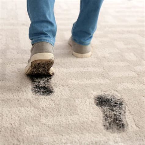 How to Protect Your Carpet from Mud Stains - JDog Carpet Cleaning ...