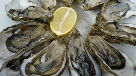 Аркашон | Мир Басков