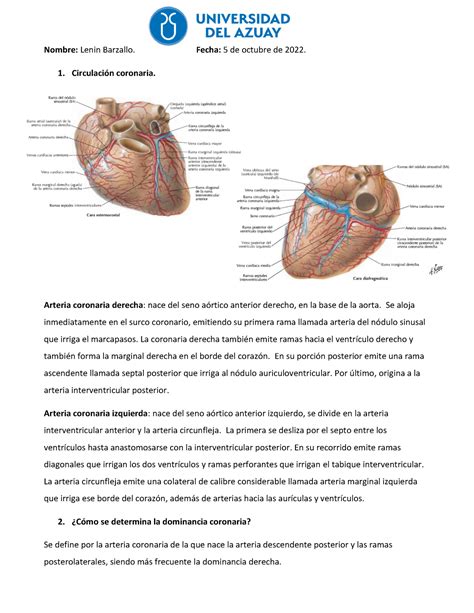 Circulaci N Coronaria Nombre Lenin Barzallo Fecha De Octubre De