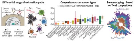 Science T Cancer Pku