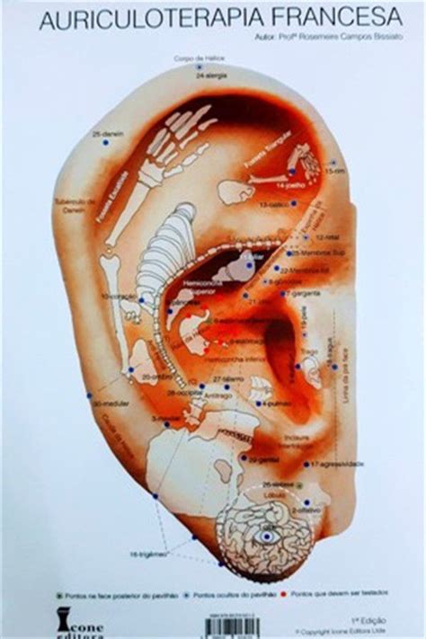 Mapa Auriculoterapia Francesa Profa Rosemeire Brasil Oriente Loja