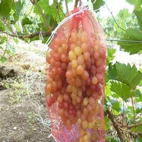 Мешки от ос на виноград красные 2 кг, 22*30 см (сетка-мешок для ...