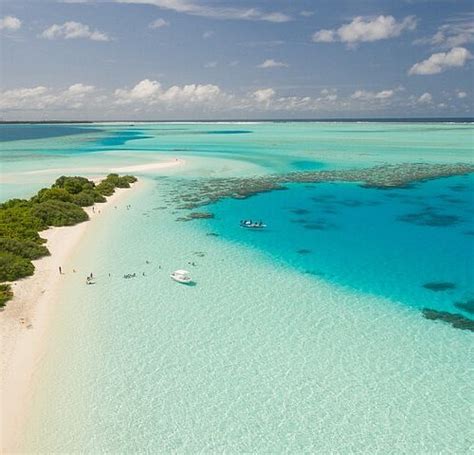 THE 15 BEST Things to Do in Bimini - 2022 (with Photos) - Tripadvisor