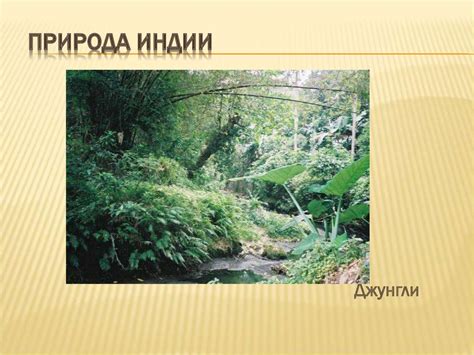 Природа и люди Древней Индии - презентация онлайн