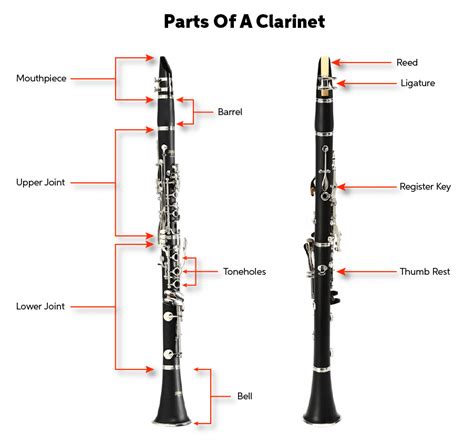 sections   clarinet  armando armstrong blog