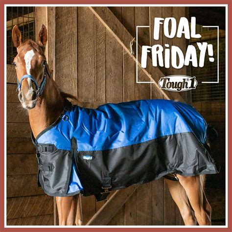 Foal Tough1® Blanket | Horse blankets winter, Foals, Horse blankets