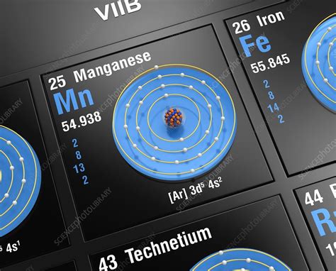 Manganese, atomic structure - Stock Image - C045/6365 - Science Photo ...