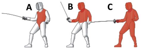 Gli Infortuni Pi Comuni Nella Scherma Scienza Sport