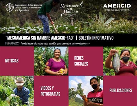 Boletín de comunicación de Mesoamérica sin Hambre AMEXCID FAO