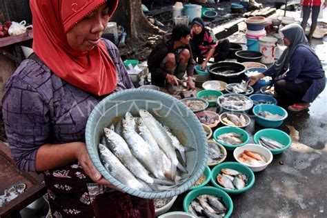 Konsumsi Ikan Nasional Antara Foto