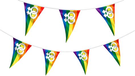 Rainbow Lesbian Pride Bunting Hampshire Flag Company