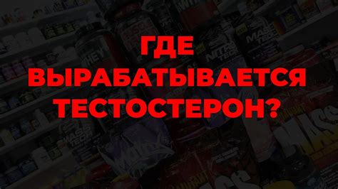 Где вырабатывается тестостерон? - YouTube