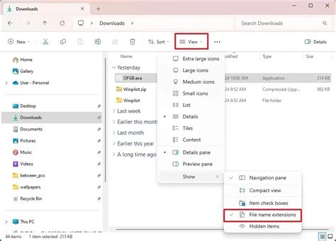 Step By Step Guide To Display File Extensions In Windows Twcb En