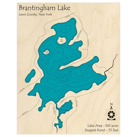 Brantingham Lake 3D Custom Wood Map – Lake Art LLC