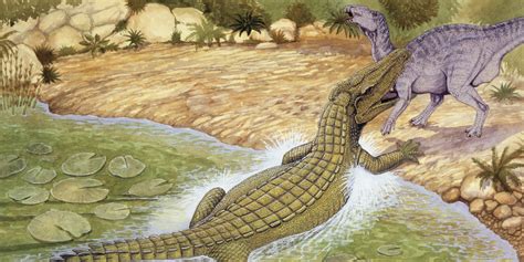 Huge Ancient Crocodiles Used Death Rolls To Kill Dinosaurs