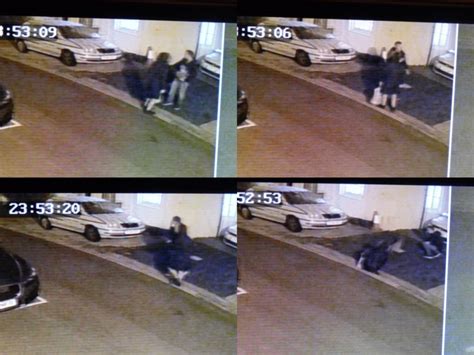 Cat Thieves Caught On Camera Brighton And Hove News