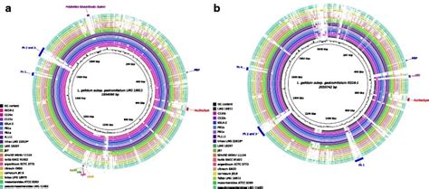 Complete Genome Sequence Of Leuconostoc Gelidum Subsp Gasicomitatum