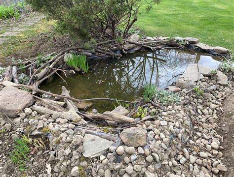 Landscaping Ideas: Create a Watering Hole for Fall Wildlife