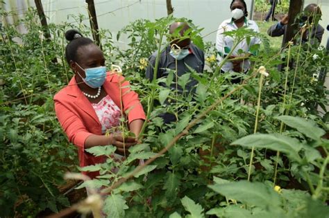 Nakuru County Counting On Digital Platforms To Offer Extension Services