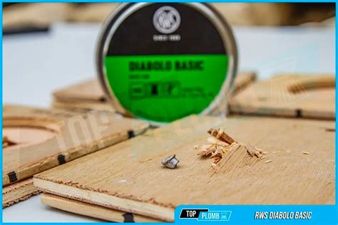 Plombs RWS Diabolo Basic - Test de précision et de puissance