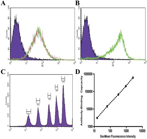 L1 2 Stably Transfected Cells Express The Same Surface Level Of CCR5