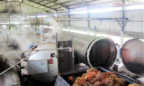 Sterilizer Pabrik Kelapa Sawit Pengertian Tujuan Tahapan Proses