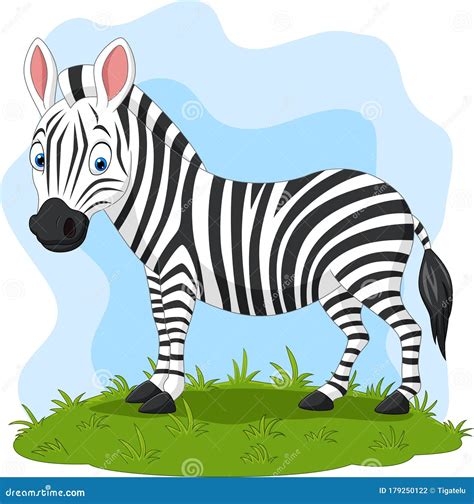 Cartoon Happy Zebra In The Grass Stock Vector Illustration Of Funny