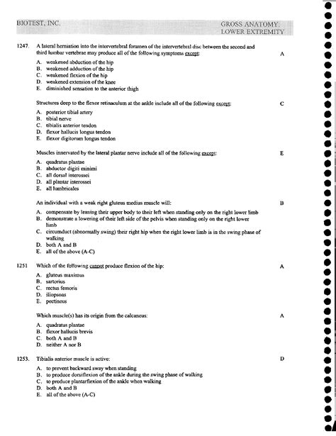 SOLUTION Anatomy Mcqs With Answers Gross Anatomy Pelvis Abdomen And