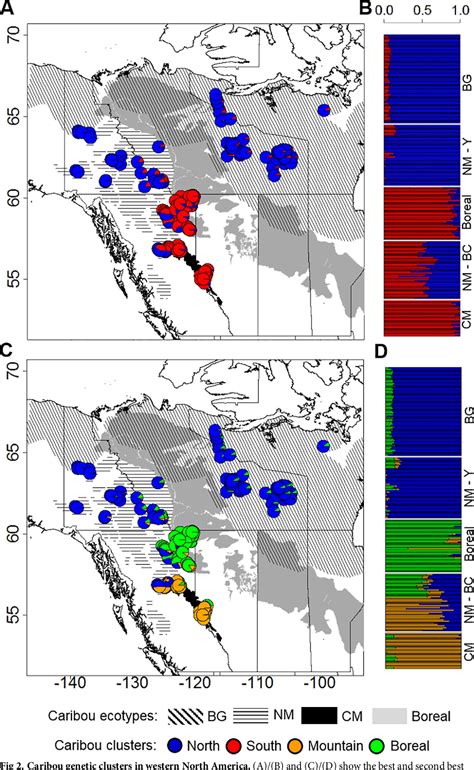 Figure 2 from Genomic legacy of migration in endangered caribou | Semantic Scholar