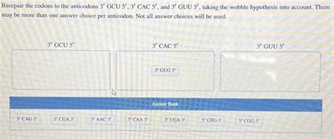 Solved Basepair the codons to the anticodons | Chegg.com