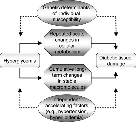 Oxidative Stress And Diabetic Complications Circulation Research