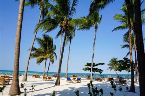 Séjour Tanzanie Club Framissima Paje Palms Beach Resort 4 Zanzibar