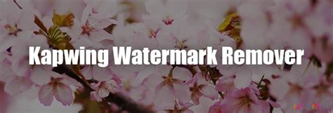 Kapwing Watermark Remover—Remove Kapwing Watermark