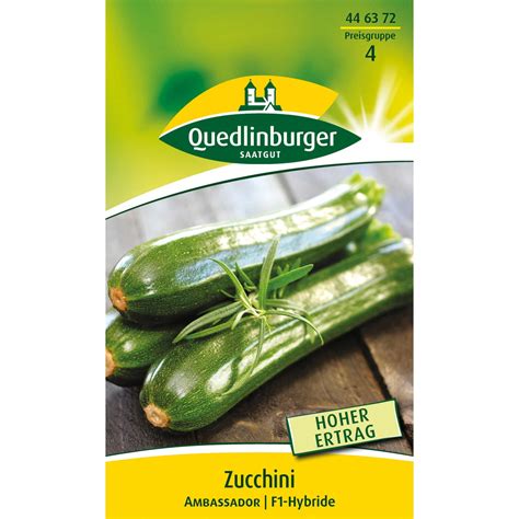 Quedlinburger Zucchini Ambassador Kaufen Bei Obi