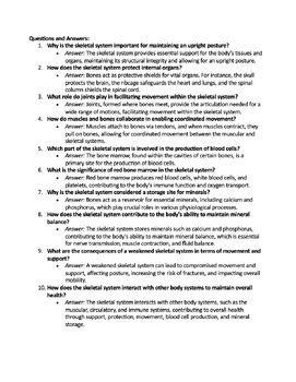 Skeletal System Reading Passage And X 10 Questions EDITABLE TPT