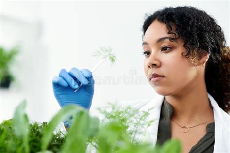 My Job Is To Study All Forms Of Plant Life A Female Scientist