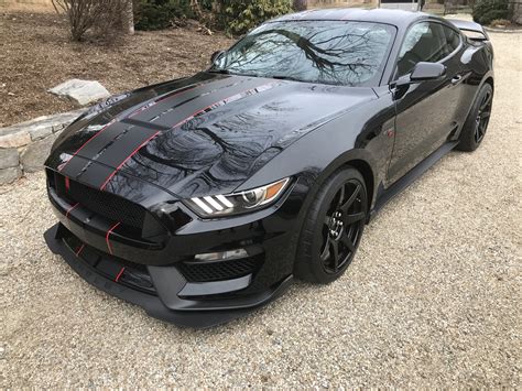 2019 Shelby Mustang 350R | CarBunker