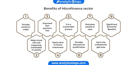 All You Need To Know About The Microfinance Sector Analytics Steps